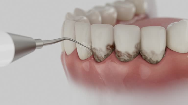 Reliable Dental contractor in Salisbury, MO by Dentist Open Now